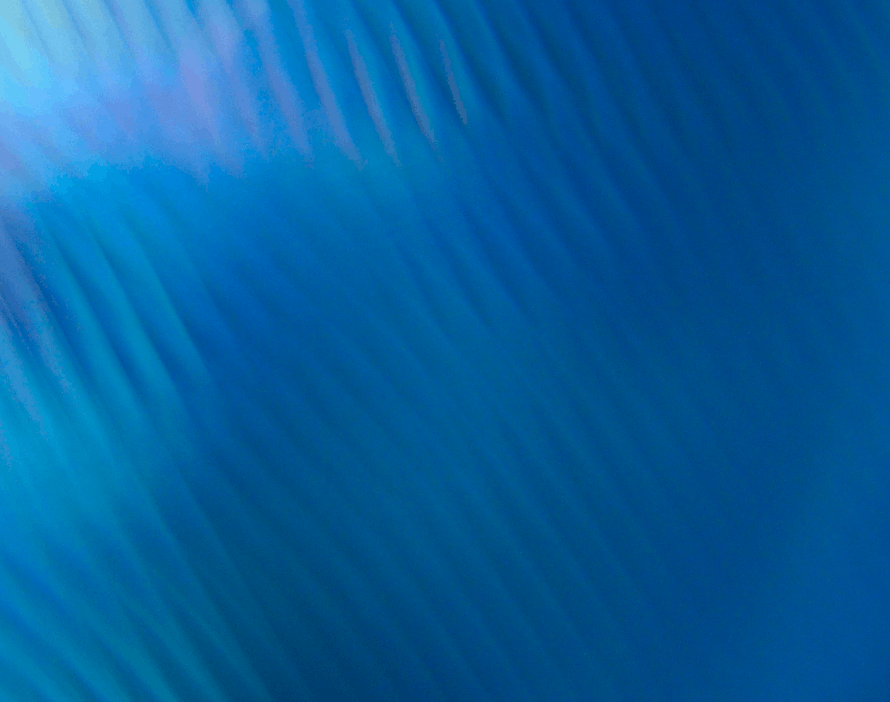 Team working together