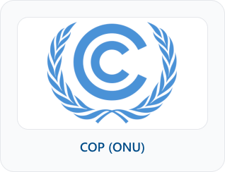COP ONU
